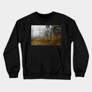 Winter Woodland in Carinthia, Austria Crewneck Sweatshirt